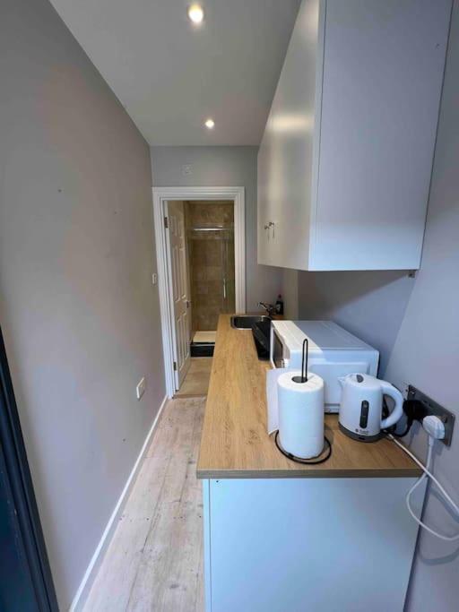 Newly Built Large Garden Ensuite Guest Studio Borehamwood Eksteriør billede