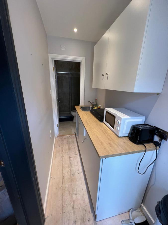 Newly Built Large Garden Ensuite Guest Studio Borehamwood Eksteriør billede